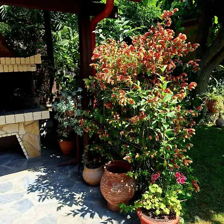 Appartement Anastasia Chalatsogianni Paralia Pantaleimonos