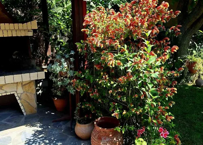 Appartement Anastasia Chalatsogianni Paralia Panteleimonos